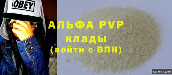шишки Абаза