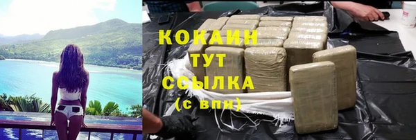 шишки Абаза