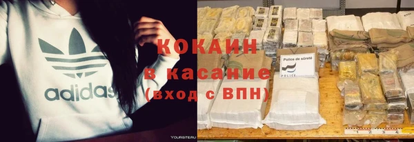 шишки Абаза