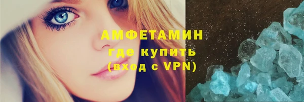 шишки Абаза