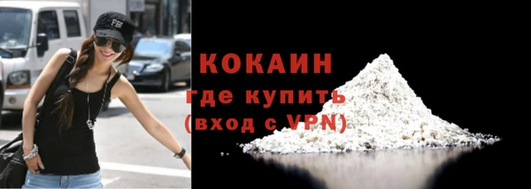 шишки Абаза