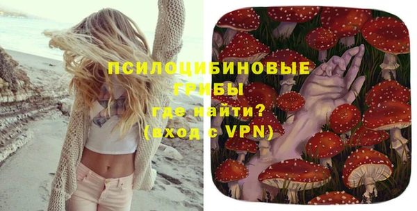 шишки Абаза