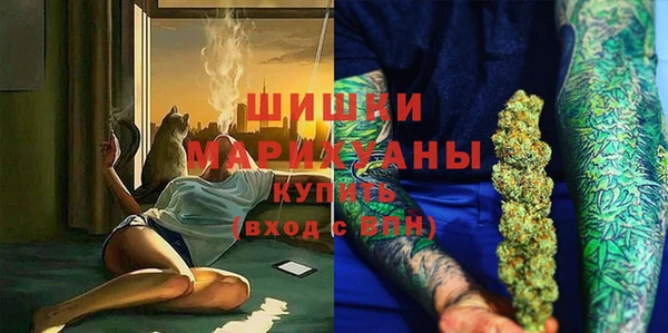 шишки Абаза