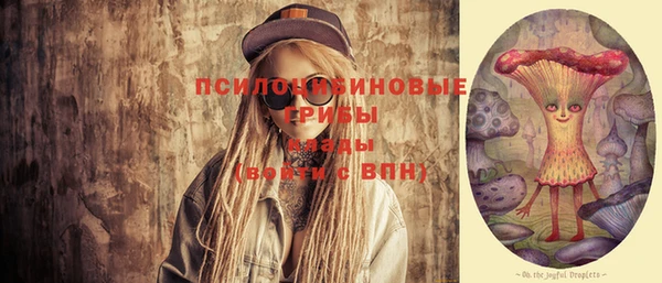 шишки Абаза