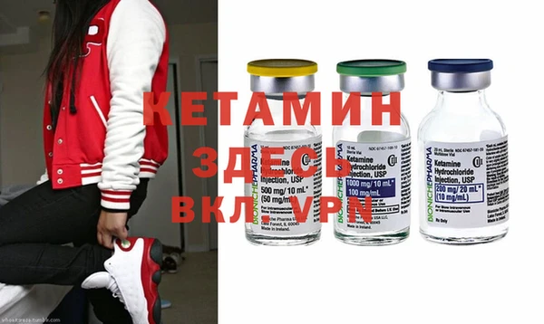 шишки Абаза