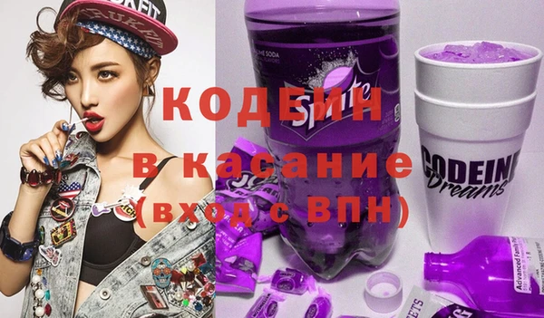 шишки Абаза